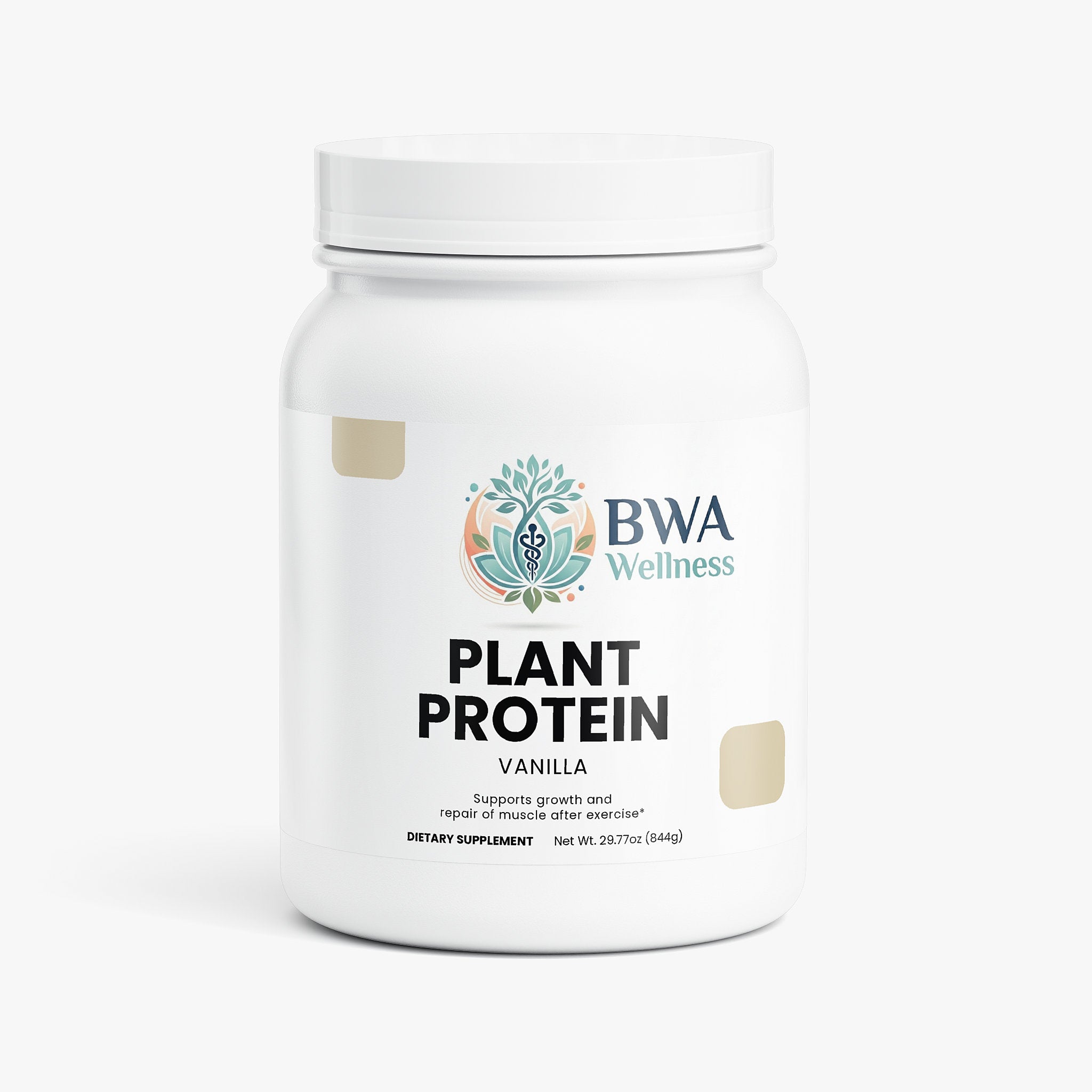 Plant Protein (Vanilla)